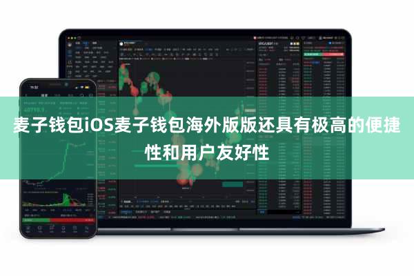 麦子钱包iOS麦子钱包海外版版还具有极高的便捷性和用户友好性
