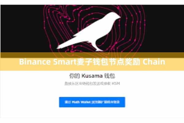 Binance Smart麦子钱包节点奖励 Chain
