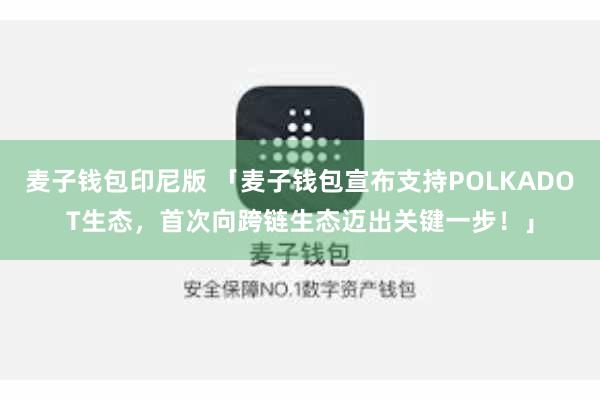 麦子钱包印尼版 「麦子钱包宣布支持POLKADOT生态，首次向跨链生态迈出关键一步！」