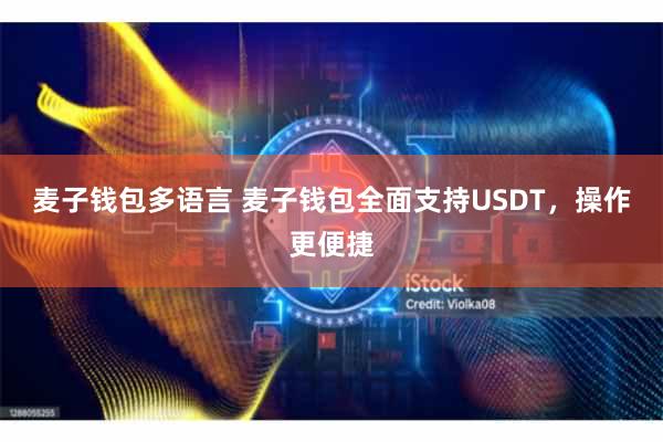 麦子钱包多语言 麦子钱包全面支持USDT，操作更便捷