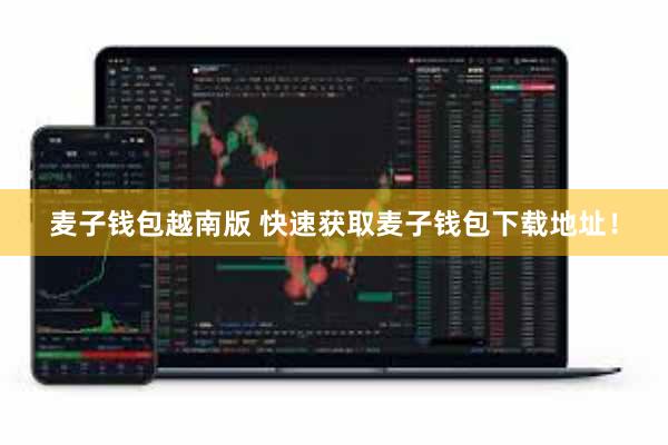 麦子钱包越南版 快速获取麦子钱包下载地址！