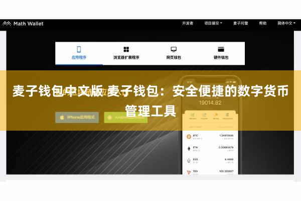 麦子钱包中文版 麦子钱包：安全便捷的数字货币管理工具
