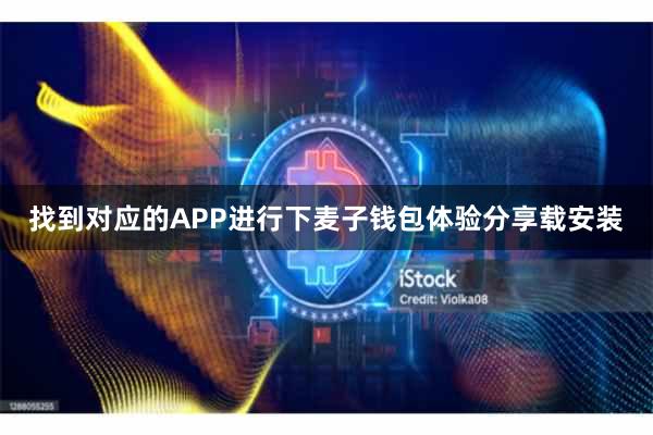 找到对应的APP进行下麦子钱包体验分享载安装