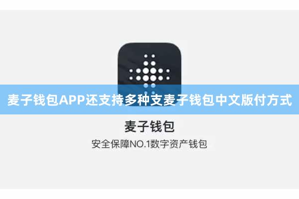 麦子钱包APP还支持多种支麦子钱包中文版付方式