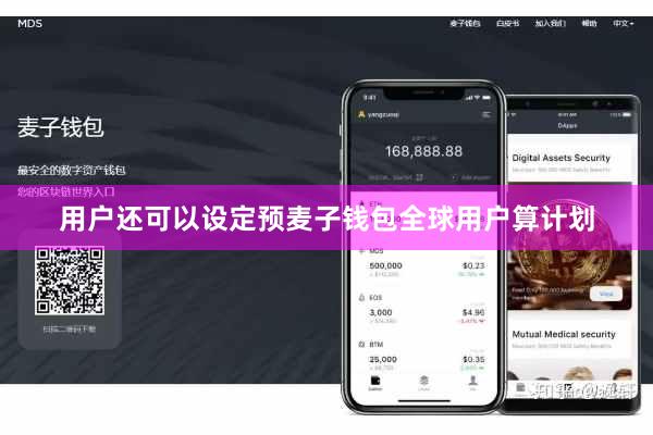 用户还可以设定预麦子钱包全球用户算计划