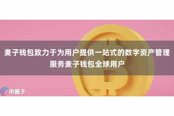 麦子钱包致力于为用户提供一站式的数字资产管理服务麦子钱包全球用户