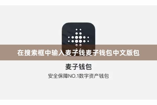 在搜索框中输入麦子钱麦子钱包中文版包
