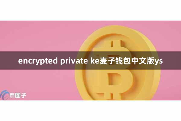encrypted private ke麦子钱包中文版ys