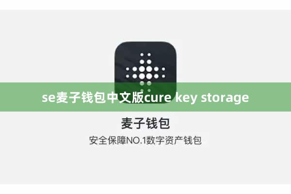 se麦子钱包中文版cure key storage