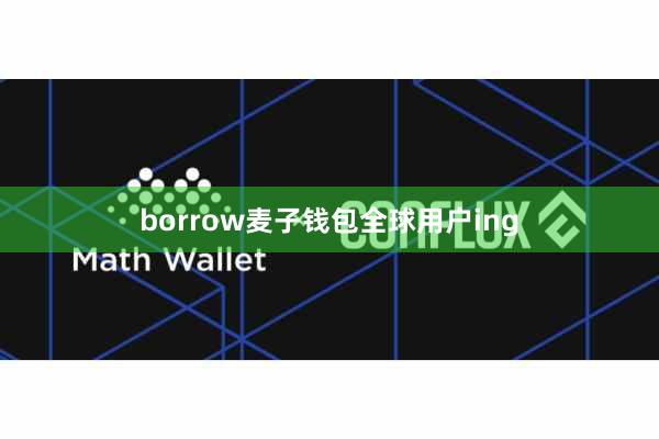 borrow麦子钱包全球用户ing