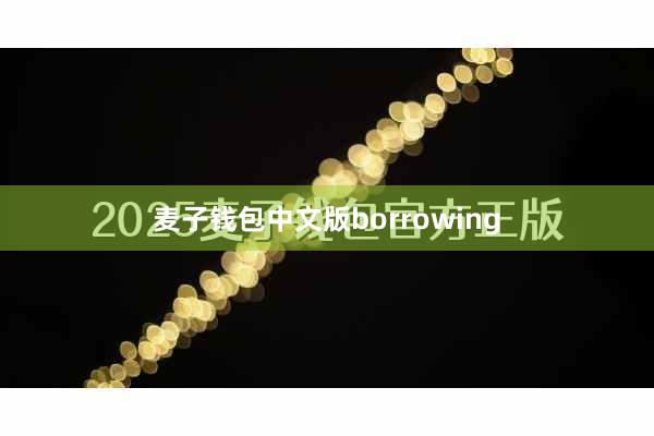 麦子钱包中文版borrowing