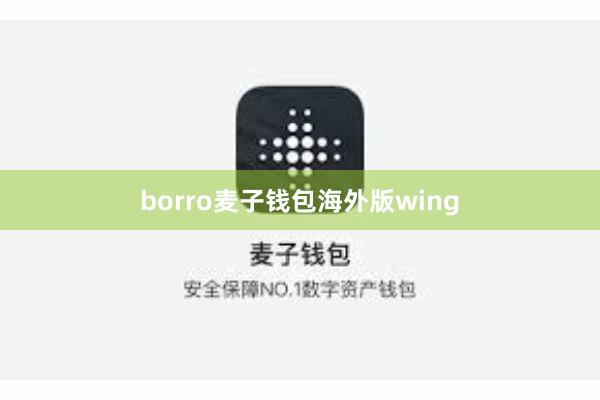 borro麦子钱包海外版wing