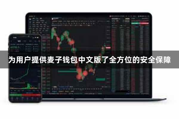 为用户提供麦子钱包中文版了全方位的安全保障