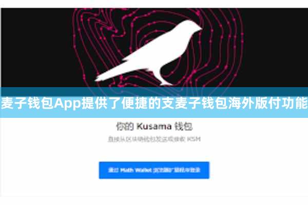 麦子钱包App提供了便捷的支麦子钱包海外版付功能