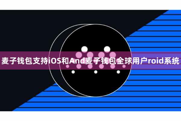 麦子钱包支持iOS和And麦子钱包全球用户roid系统