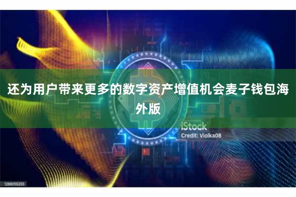 还为用户带来更多的数字资产增值机会麦子钱包海外版