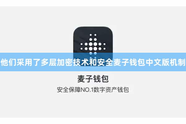 他们采用了多层加密技术和安全麦子钱包中文版机制